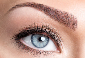 Eyebrow Extensions Course